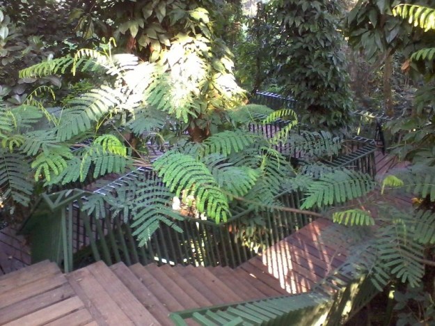 Jembatan Hutan Baksil