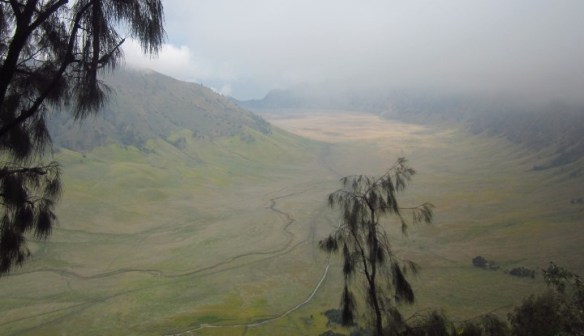 Savana Tengger