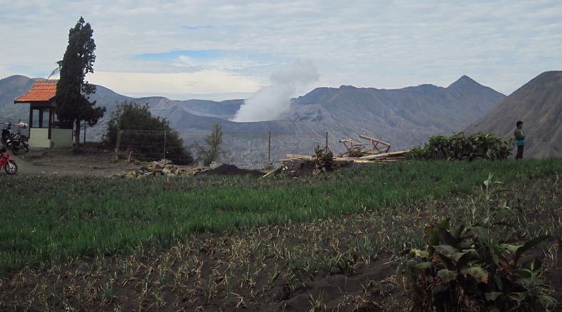 Gunung Bromo terlihat dari ladang penduduk