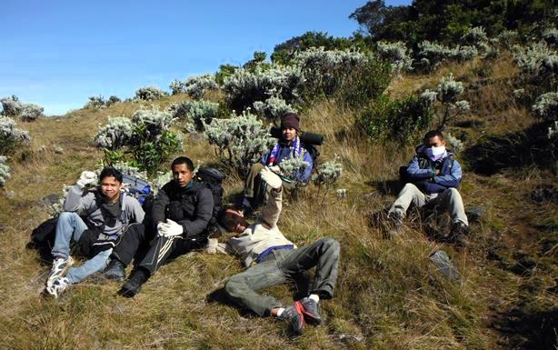 Di tengah hamparan edelweiss