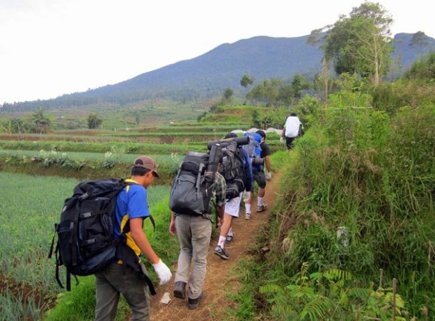 Melewati ladang penduduk