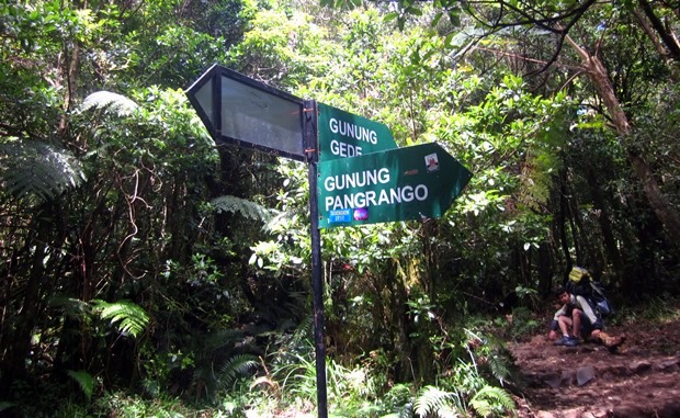 Persimpangan Gunung Gede-Pangrango