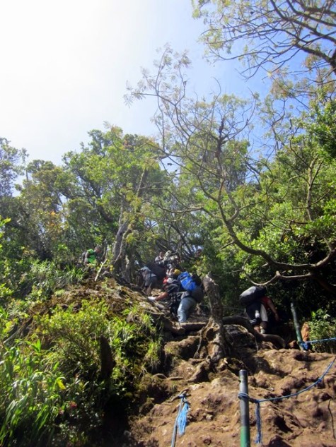 Turunan paling curam