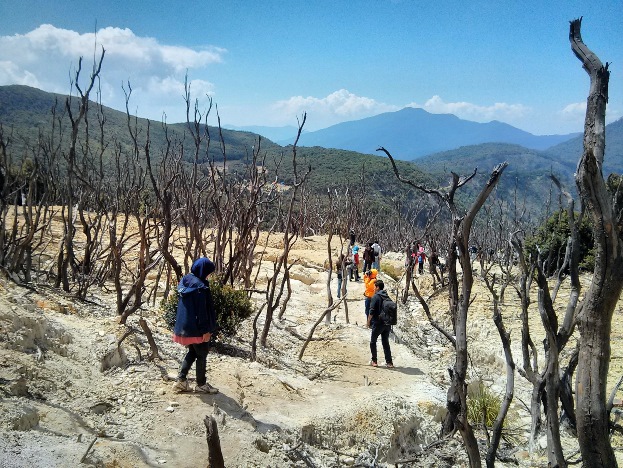 Hutan Mati Papandayan