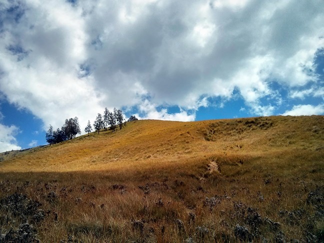Di kaki Bukit Teletubbies
