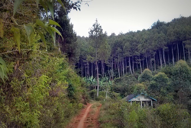 Siap masuk hutan