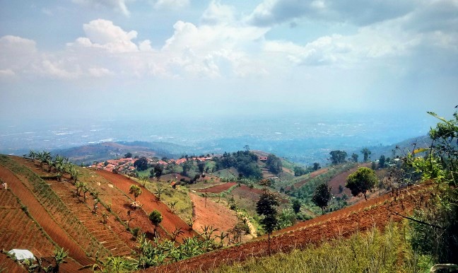 Pemandangan dari Waroeng Daweung