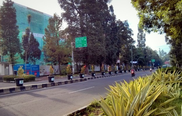 Pot-pot di median jalan