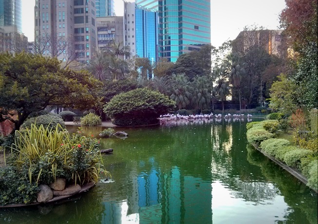Kolam dengan background gedung-gedung bertingkat