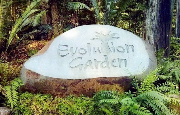Evolution Garden
