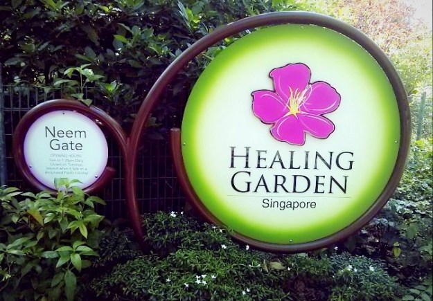Healing Garden