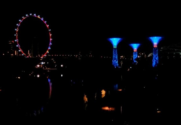 Singapore flyer dan supertree