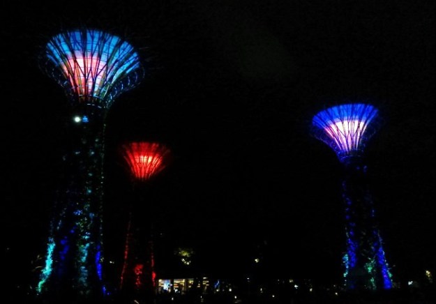 Warna-warni lampu dari Supertree