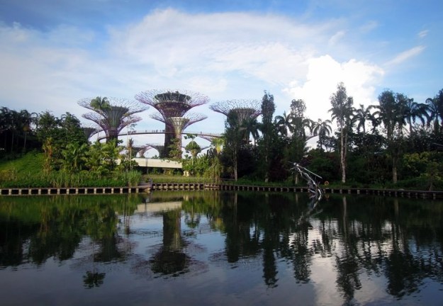 Gardens By The Bay (photo by Rizky)