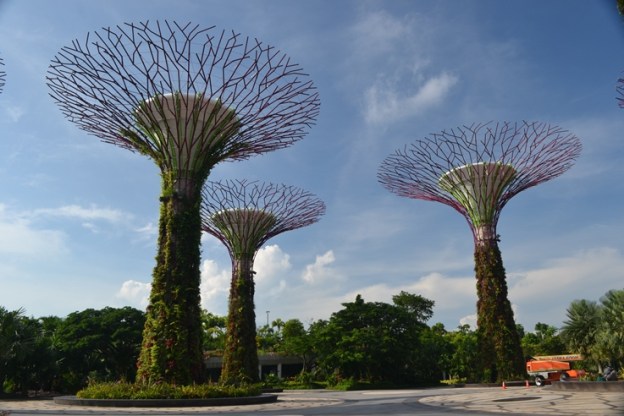Gardens By The Bay (photo by Pras)