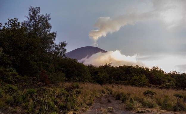 Puncak Mahameru terlihat dari Jambangan