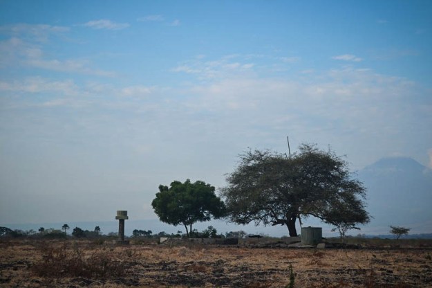 Merak di kubangan (foto oleh Pras)