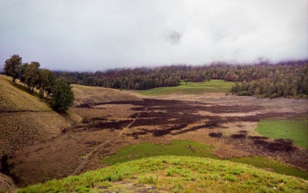 Oro-Oro Ombo yang diselimuti kabut