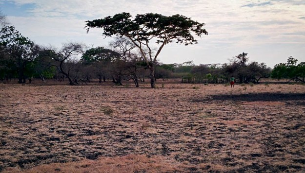 Rizky berjalan mengendap-ngendap
