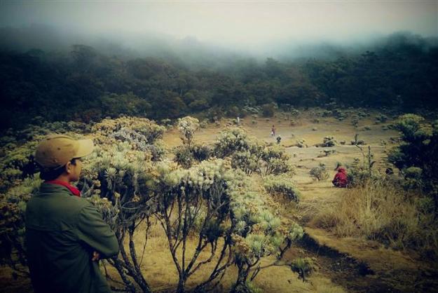 Menatap Lembah Mandalawangi