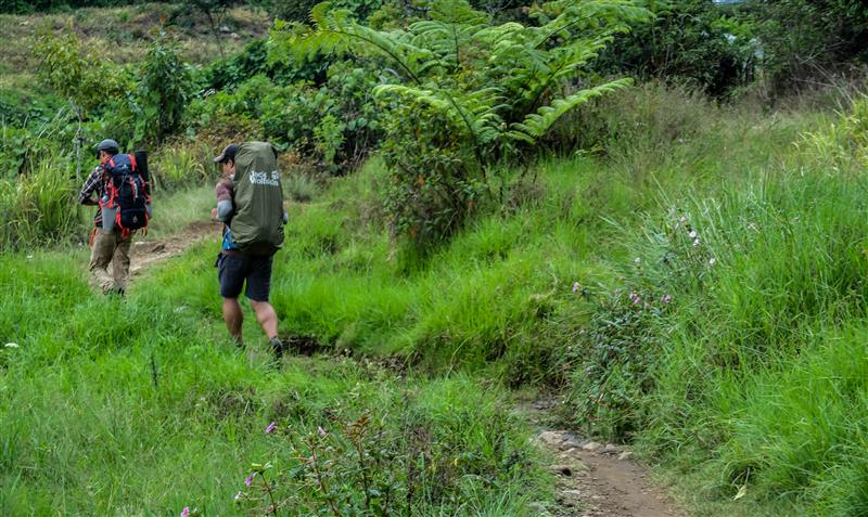 Hiking to Mount Gede (photo by Ferdian)