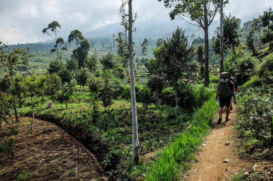 Naik dari Gunung Putri (photo by Ferdian)
