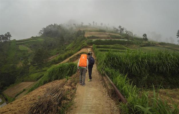 Berjalan melewati ladang-ladang