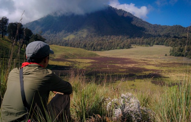 memandang oro-oro ombo