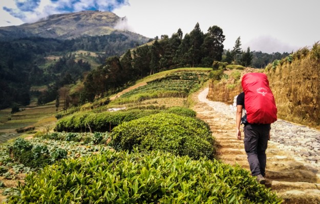 Berjalan melalui ladan-ladang warga