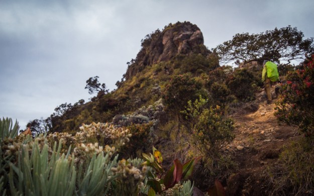 Berjalan menuju puncak