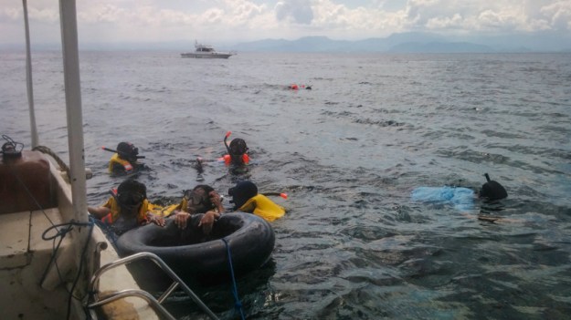 Snorkeling di Mangrove Point