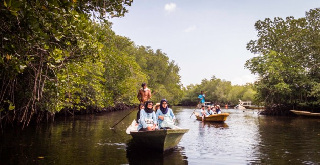 Menyusuri mangrove point