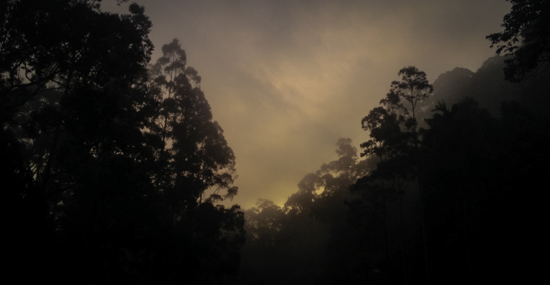 kabut di gunung angsi