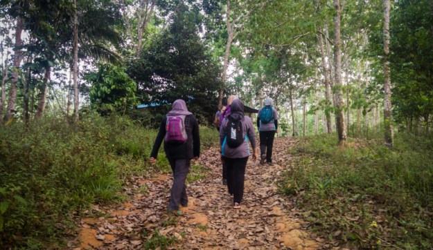 Melintasi ladang karet