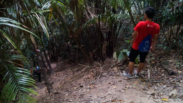 Berjalan menembus hutan
