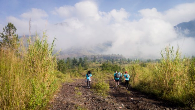 Ilalang di kanan-kiri sepanjang jalan