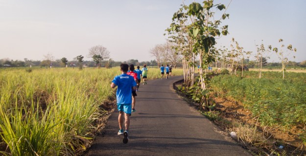 Melalui daerah perkebunan