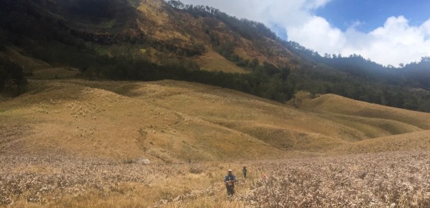 Berlari di BTS Ultra 100